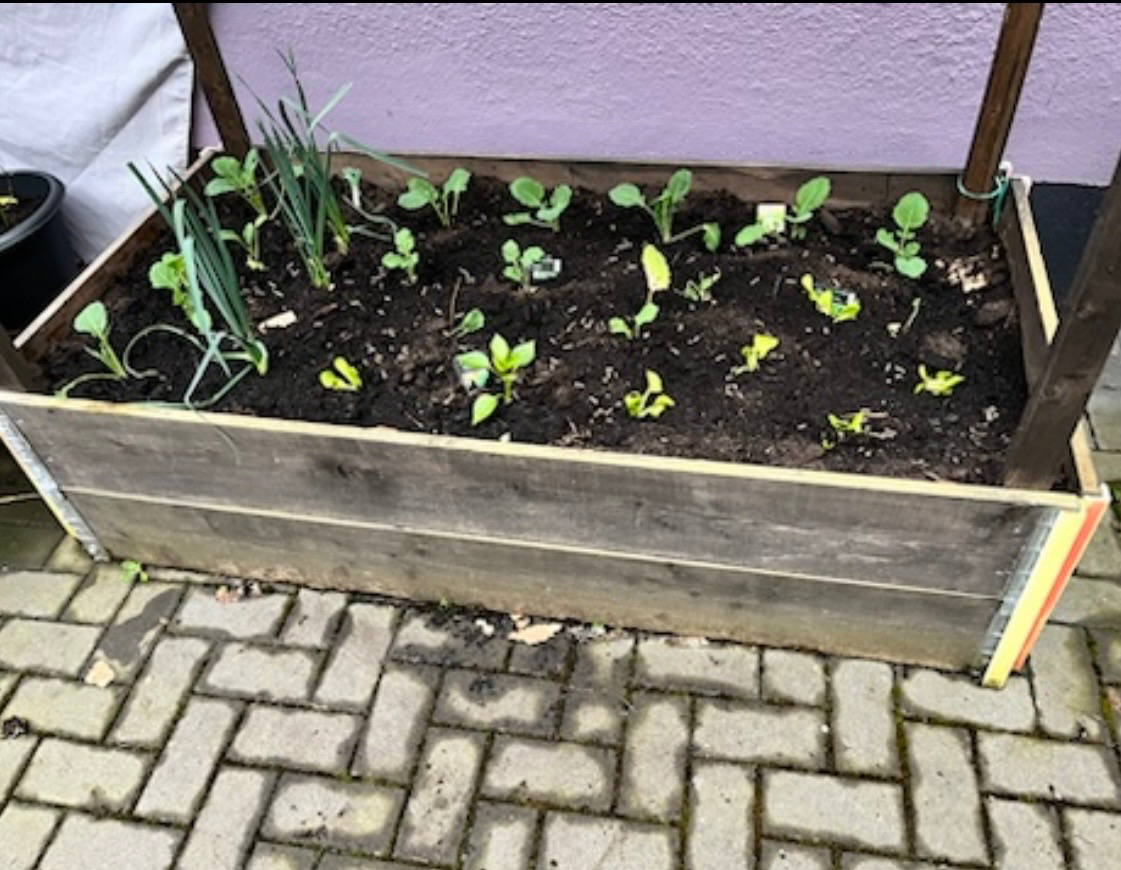 Dorfknirpse Großtagespflege Galerie Bild 22