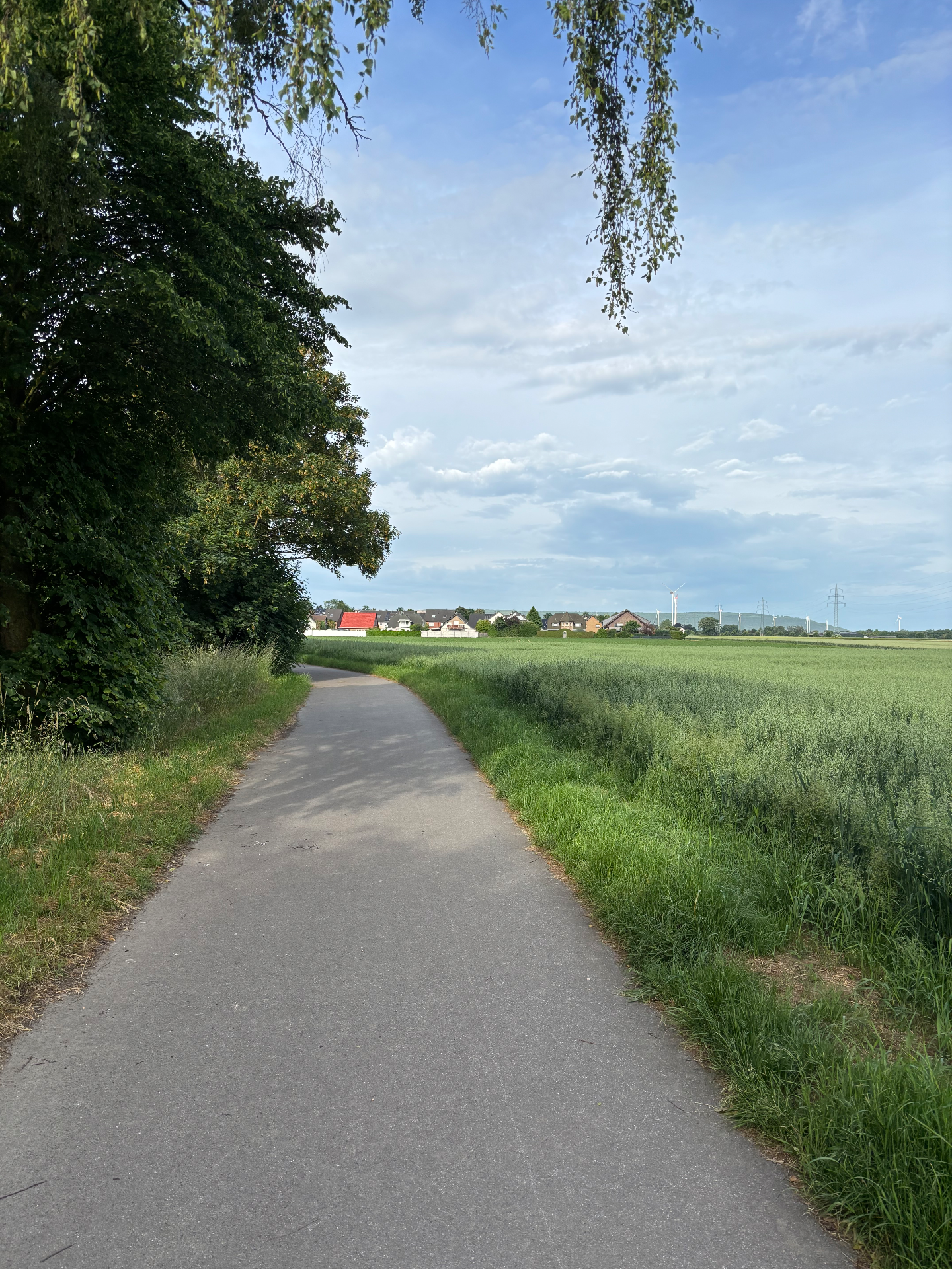 Elsdorfer Mäusenest Galerie Bild 17